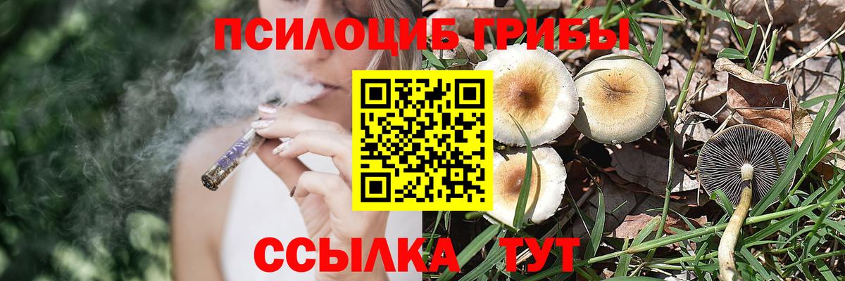 Чебаркуль  Галлюциногенные грибы ЛСД  Галлюциногенные грибы Magic Shrooms  купить  сайты  Вход с VPN 